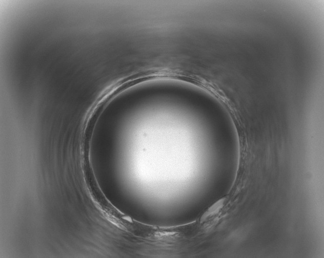 X0000062130055200512121226