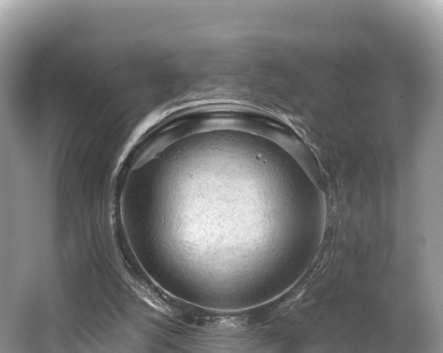 X0000062130056200512121226