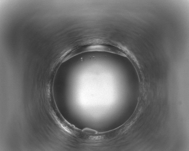 X0000062130057200512121226