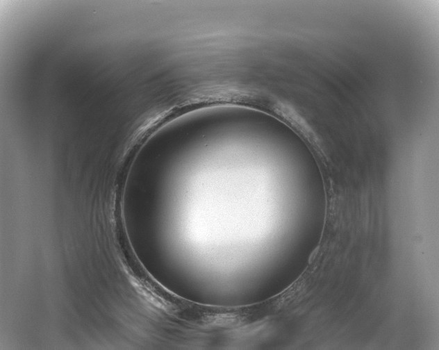 X0000062130058200512121226