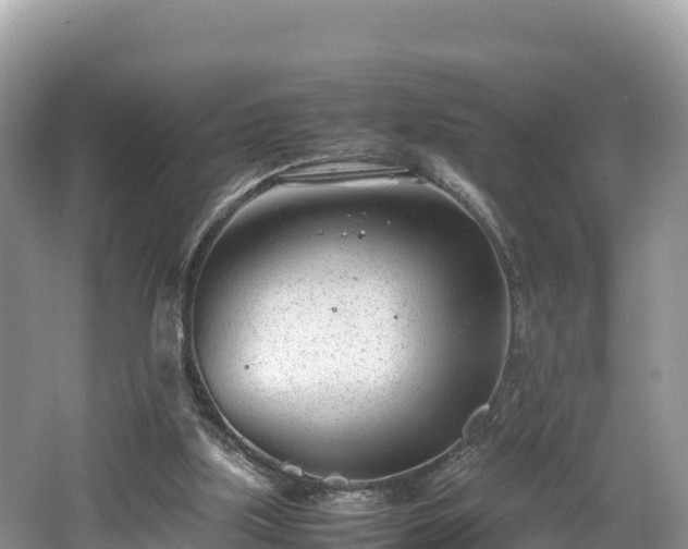 X0000062130059200512121226