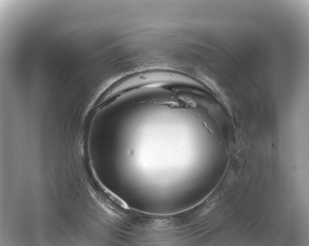 X0000062130060200512121226