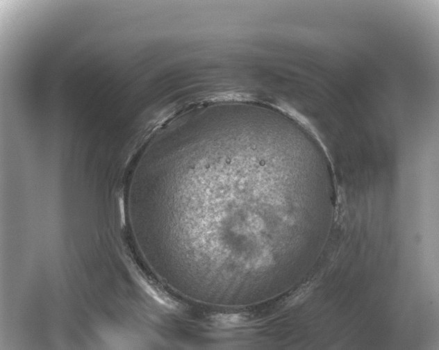 X0000062130061200512121226