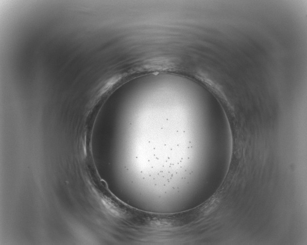 X0000062130062200512121226