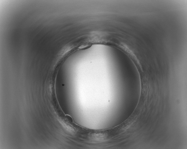 X0000062130063200512121226