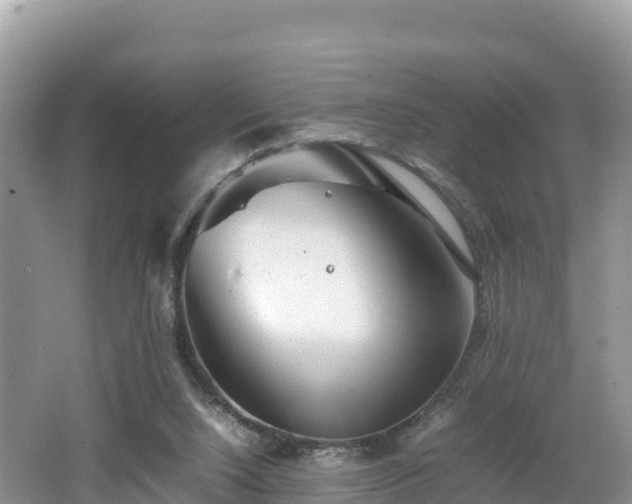 X0000062130064200512121226