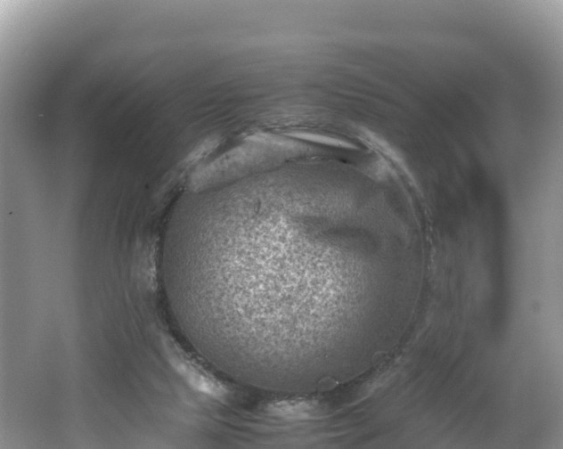 X0000062130065200512121226