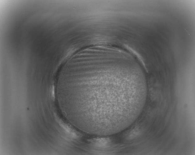 X0000062130067200512121226