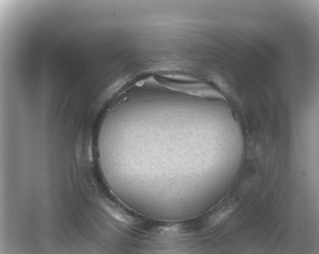 X0000062130068200512121226