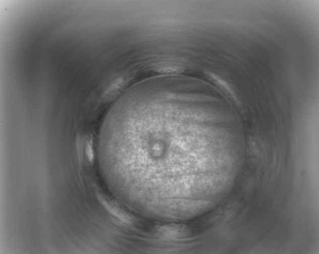 X0000062130069200512121226