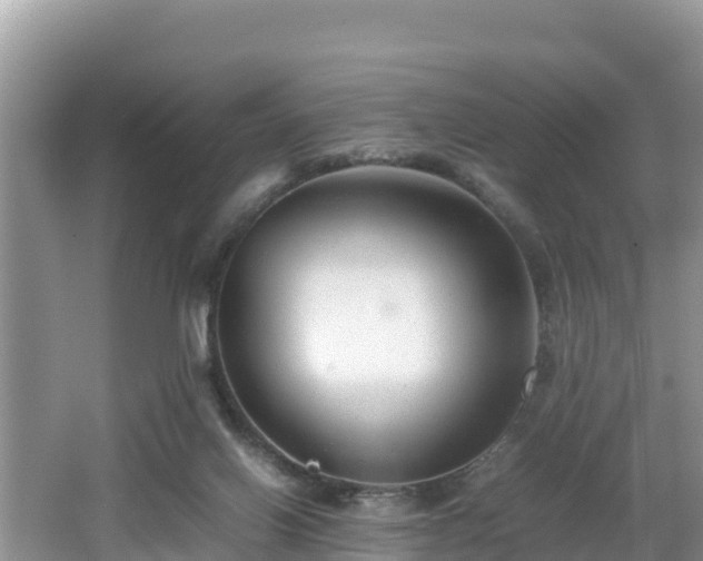 X0000062130070200512121226