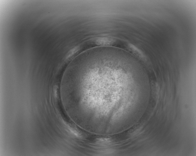 X0000062130071200512121226