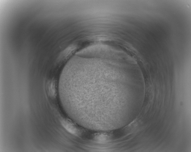 X0000062130074200512121226