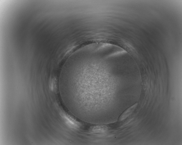 X0000062130077200512121226