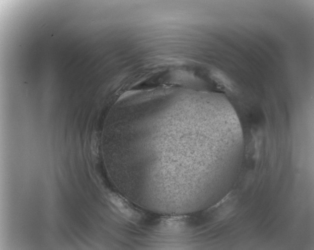 X0000062130078200512121226