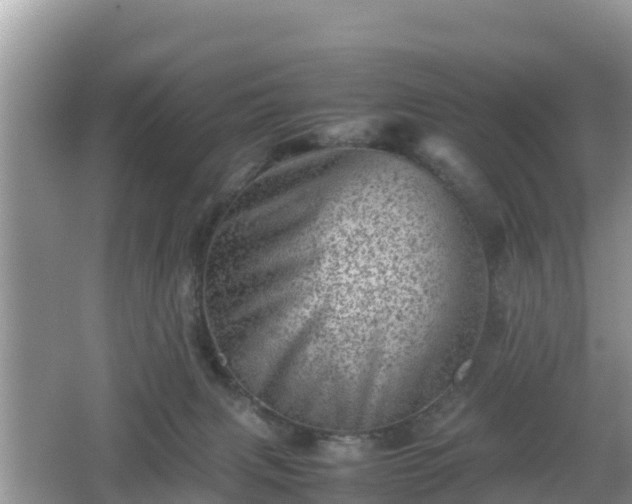 X0000062130079200512121226