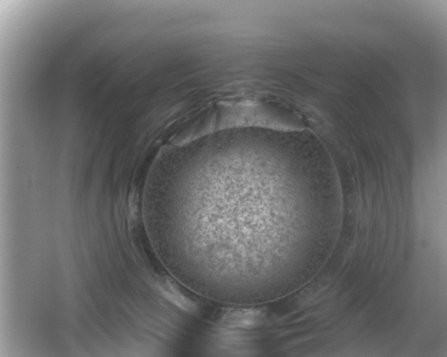 X0000062130081200512121226