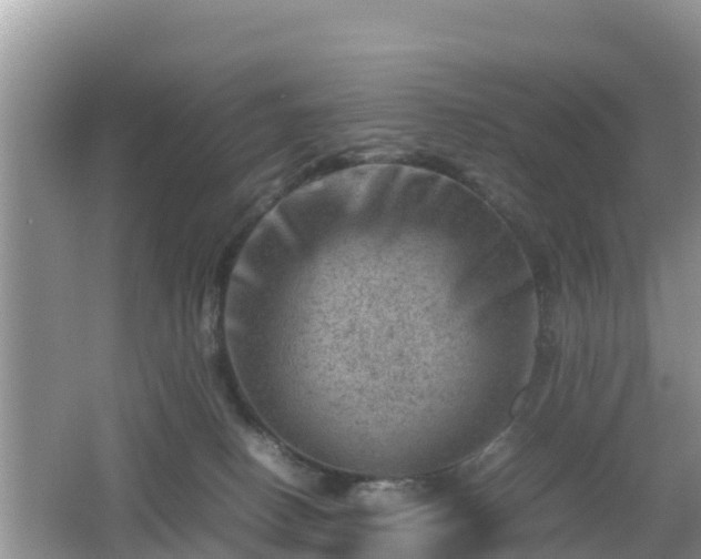 X0000062130082200512121226