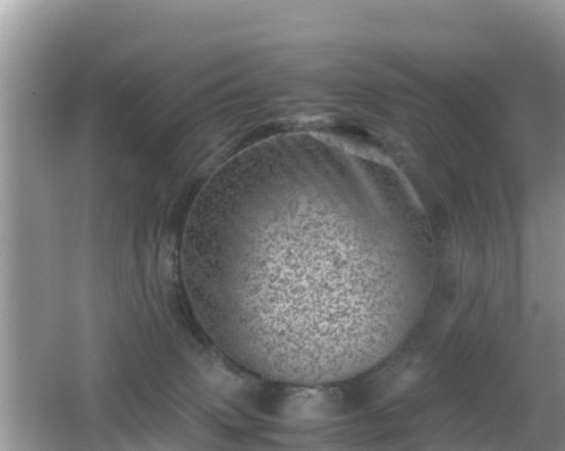 X0000062130083200512121226