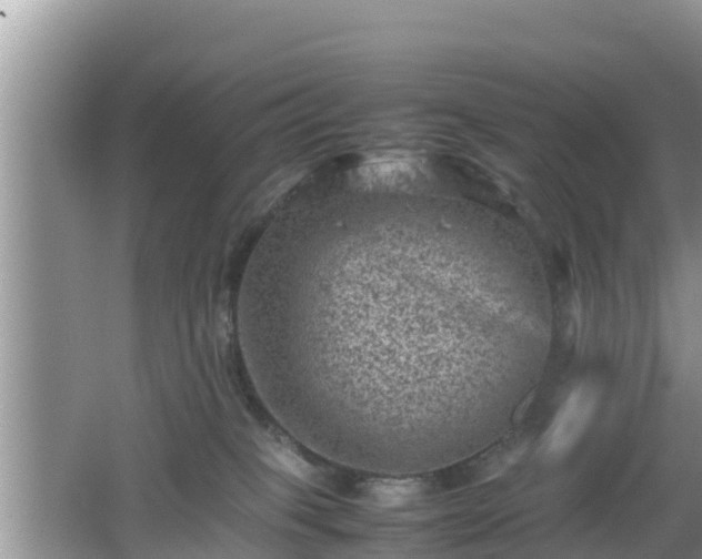 X0000062130085200512121226