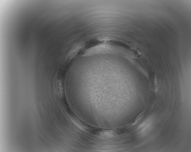 X0000062130086200512121226