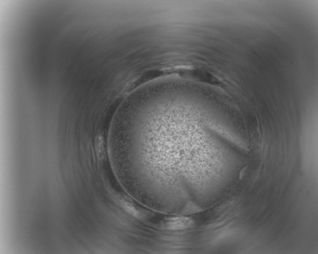 X0000062130087200512121226