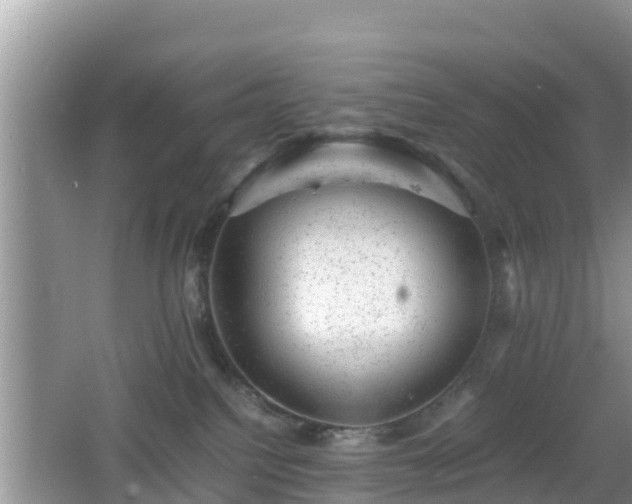 X0000062130088200512121226