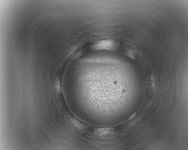 X0000062130089200512121226