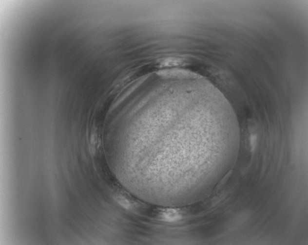 X0000062130091200512121226