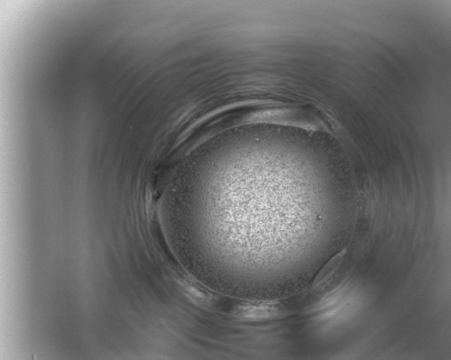 X0000062130093200512121227