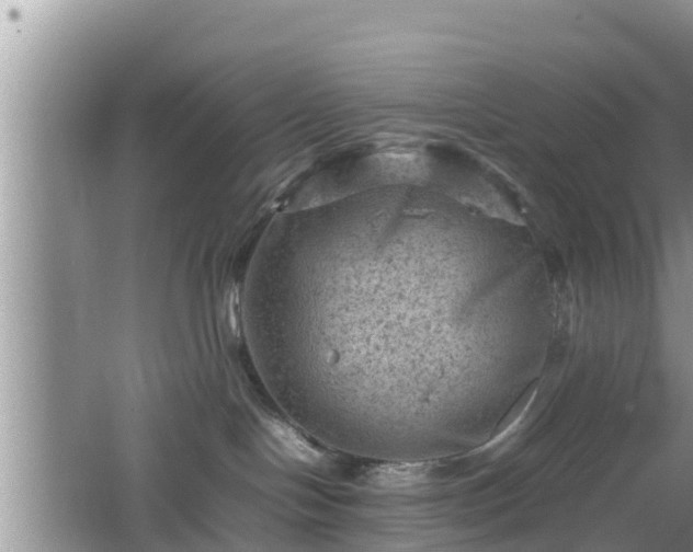 X0000062130094200512121227