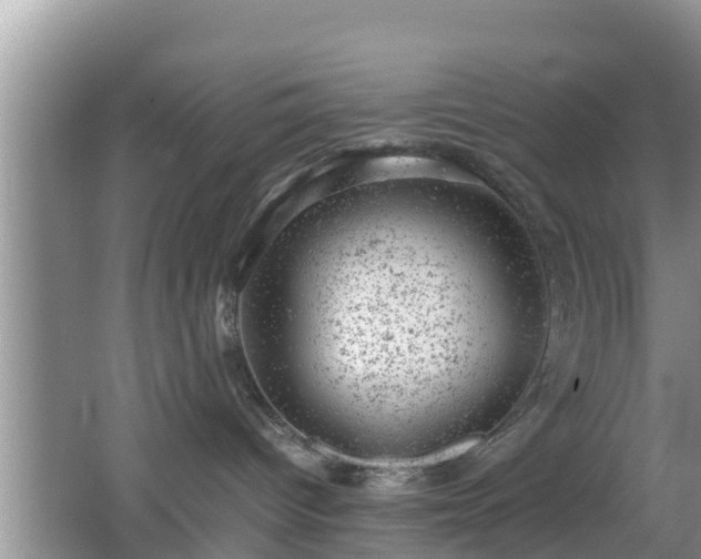 X0000062130096200512121227