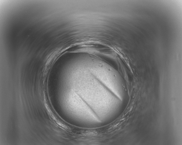 X0000062130097200512121226