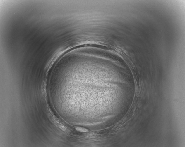 X0000062130098200512121226