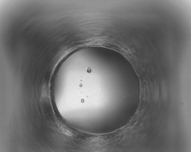 X0000062130100200512121226