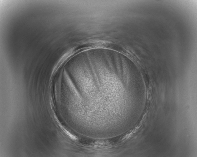 X0000062130101200512121226