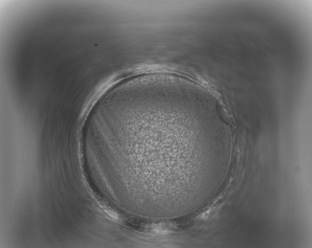 X0000062130103200512121226