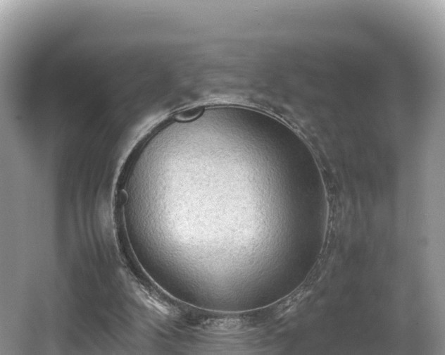 X0000062130104200512121226