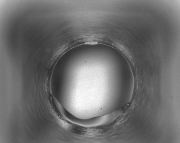 X0000062130105200512121226