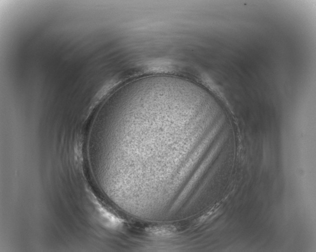 X0000062130106200512121226