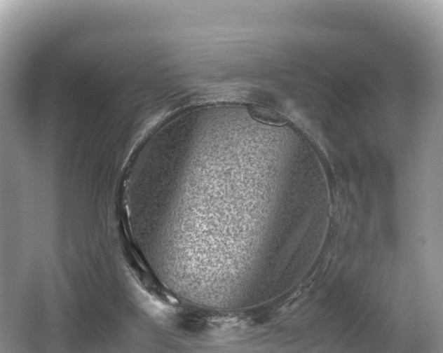 X0000062130107200512121226