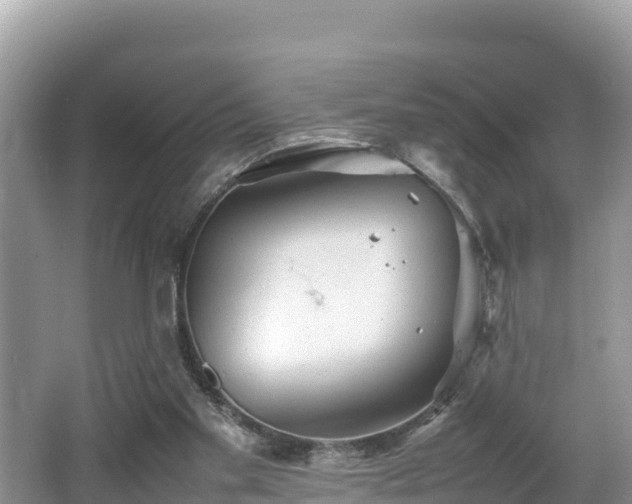 X0000062130109200512121226