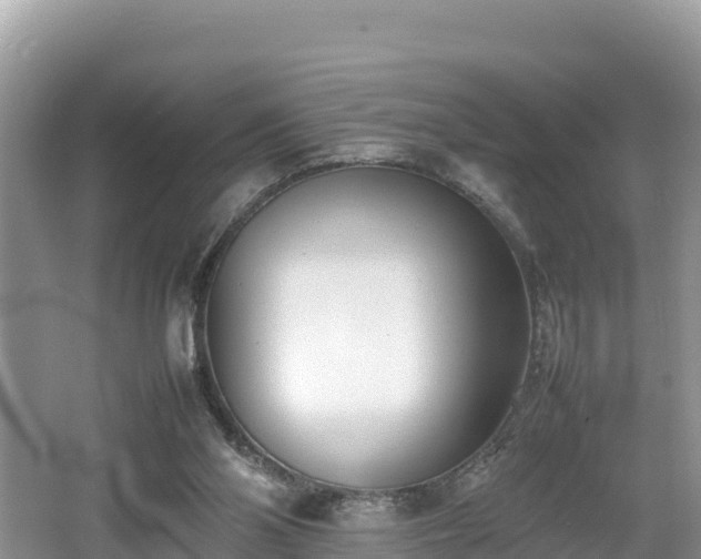 X0000062130110200512121226