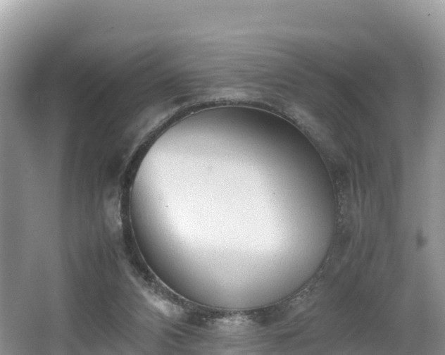 X0000062130112200512121226