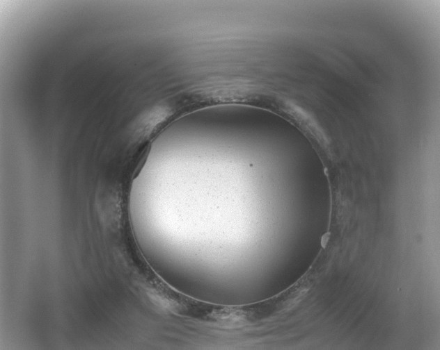 X0000062130113200512121225