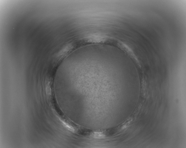 X0000062130114200512121225