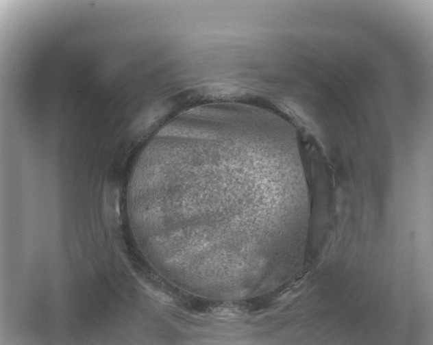 X0000062130115200512121225