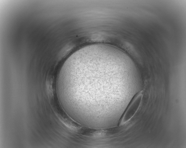 X0000062130116200512121225