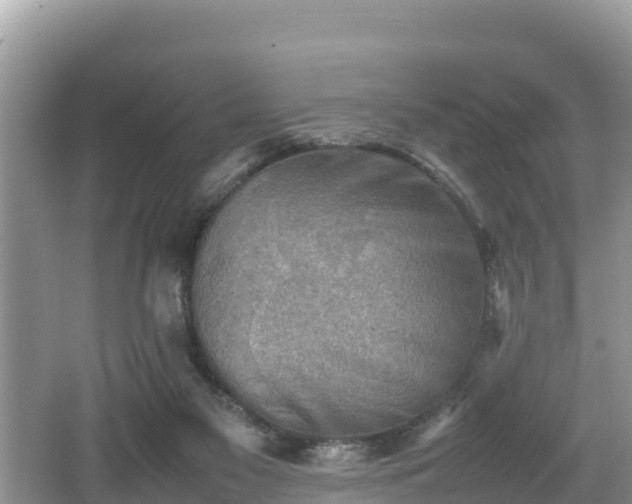 X0000062130117200512121225