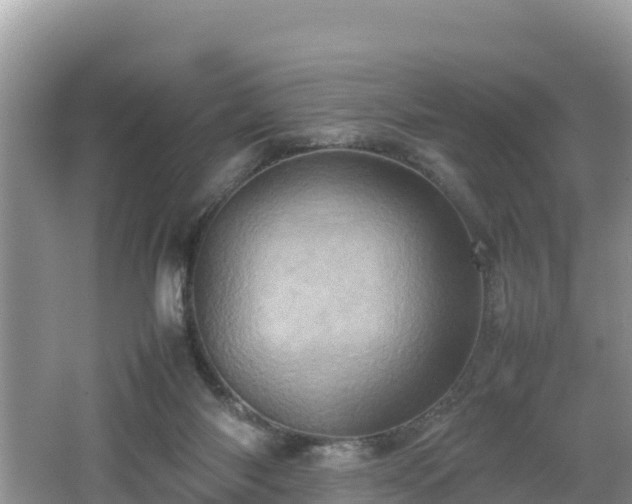 X0000062130118200512121225